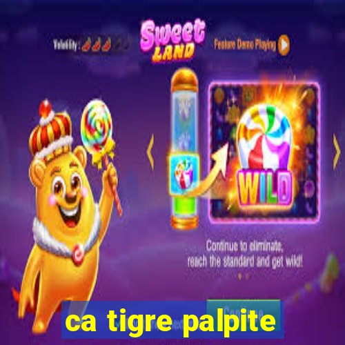 ca tigre palpite